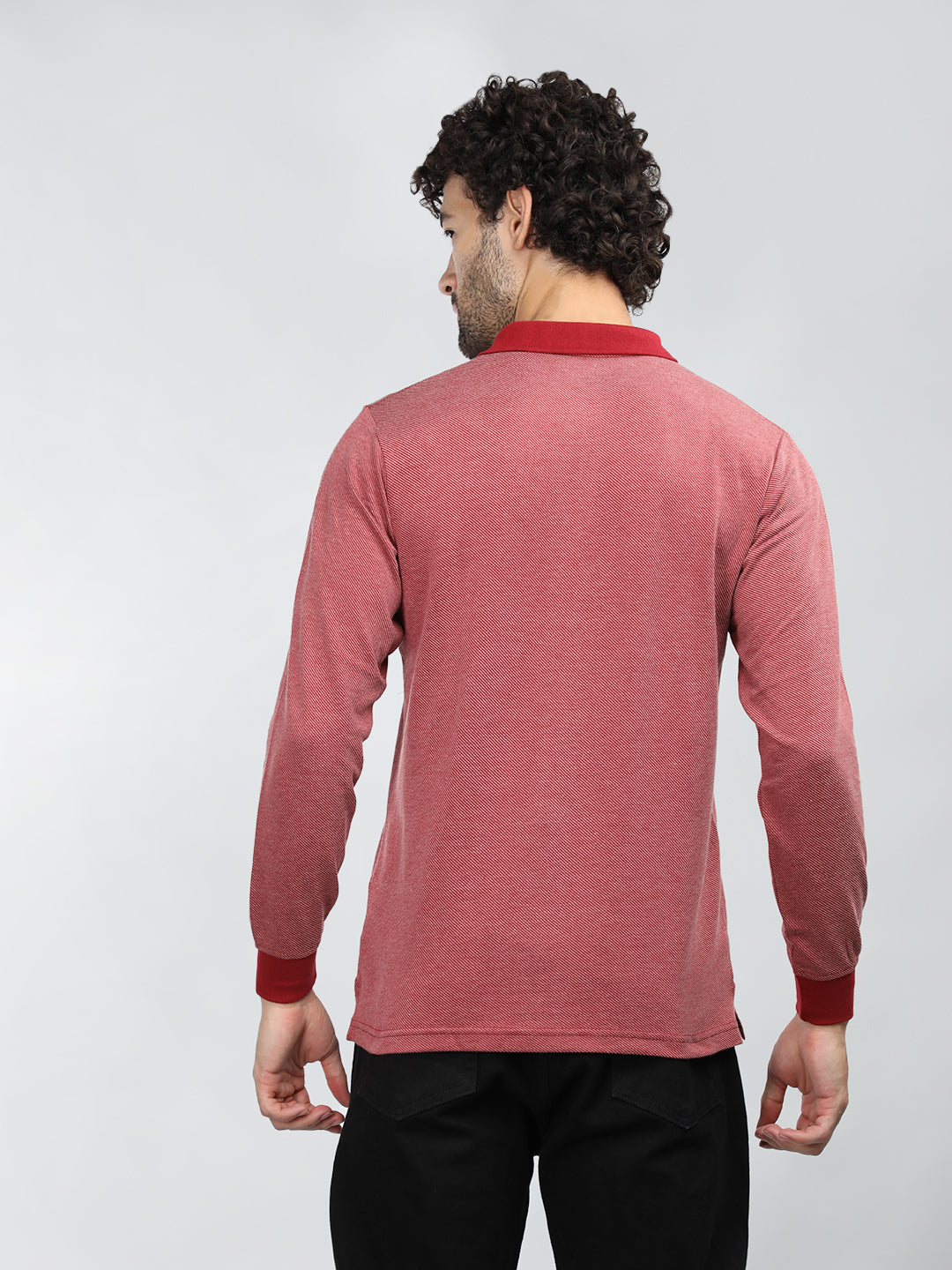 Neva Men Polo Neck Full Sleeves T-shirt Striped pattern