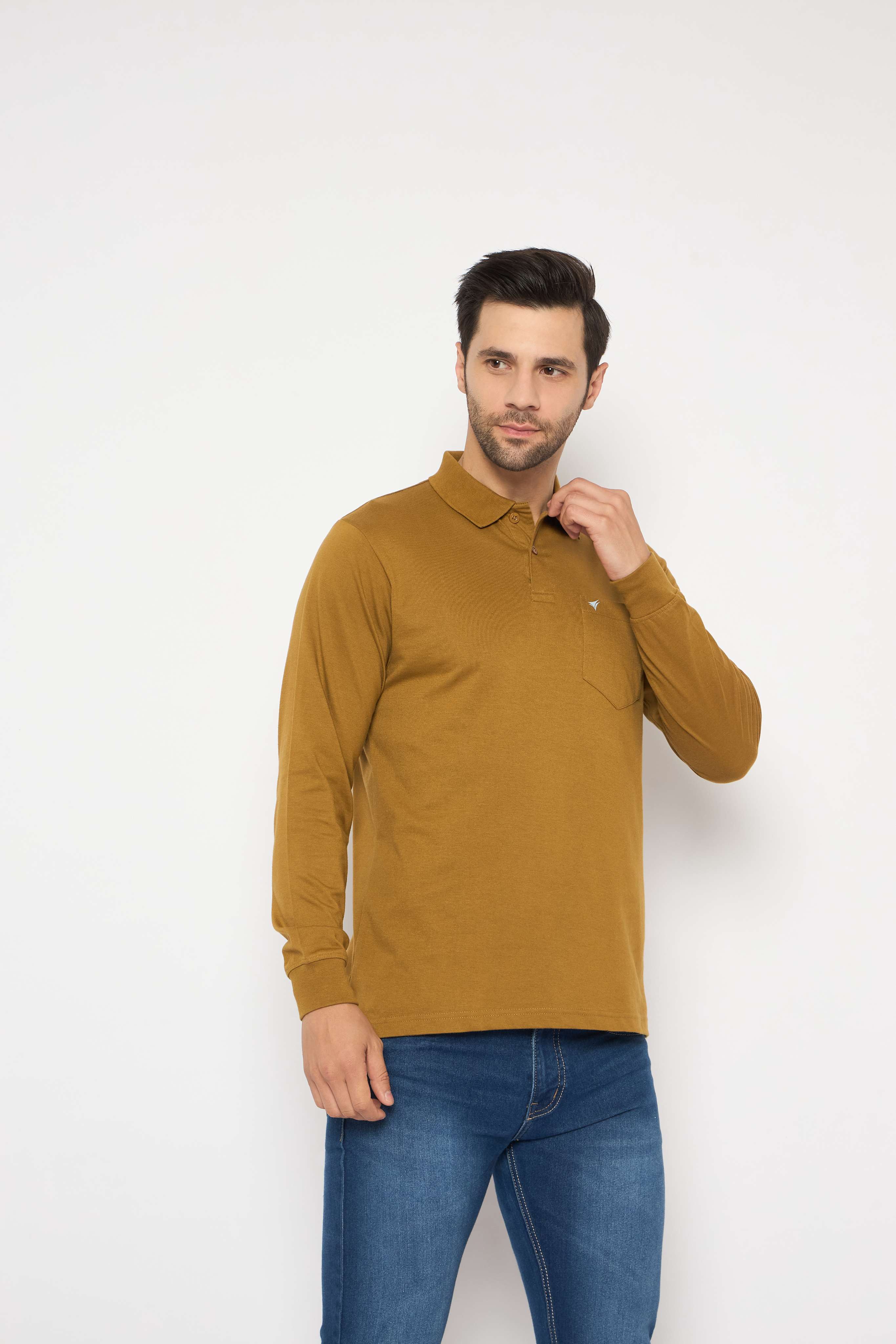 Neva Polo Neck Solid Men tshirt Full sleeves chest pocket