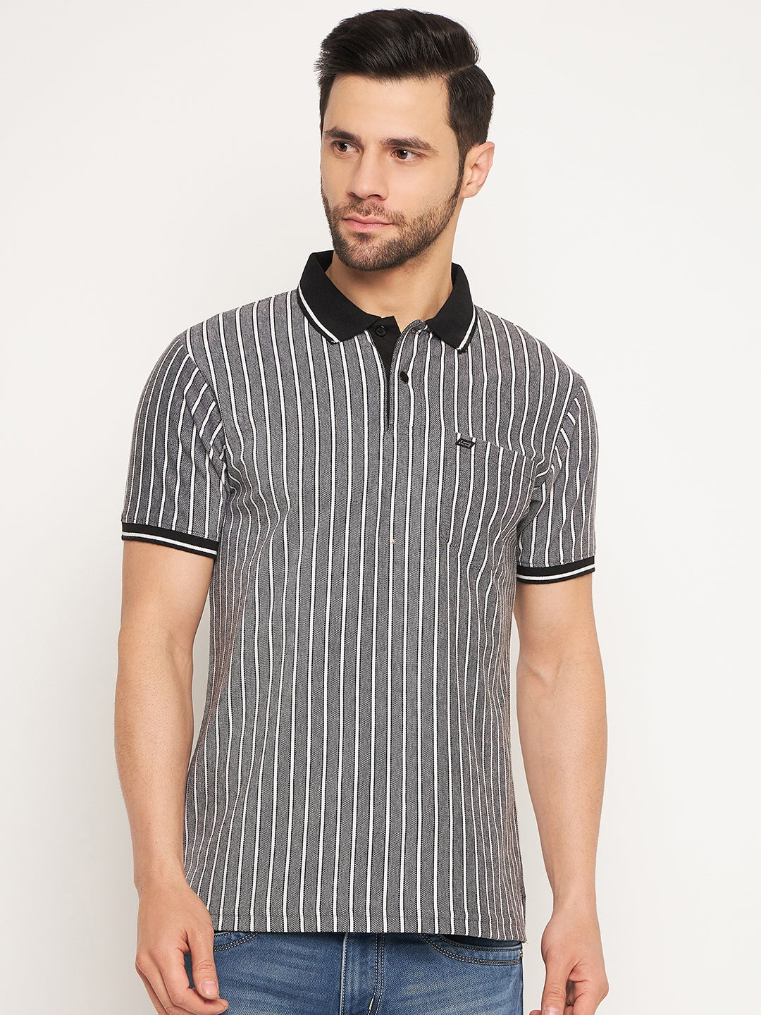 Neva Men Polo Neck Half Sleeves T-shirt Striped pattern